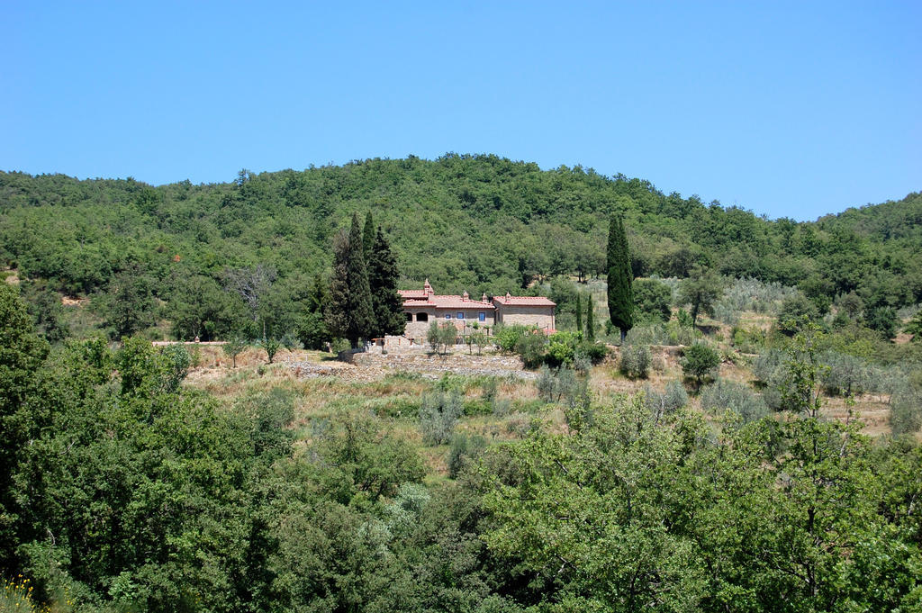 Allegro Agriturismo Argiano Arezzo Exterior foto